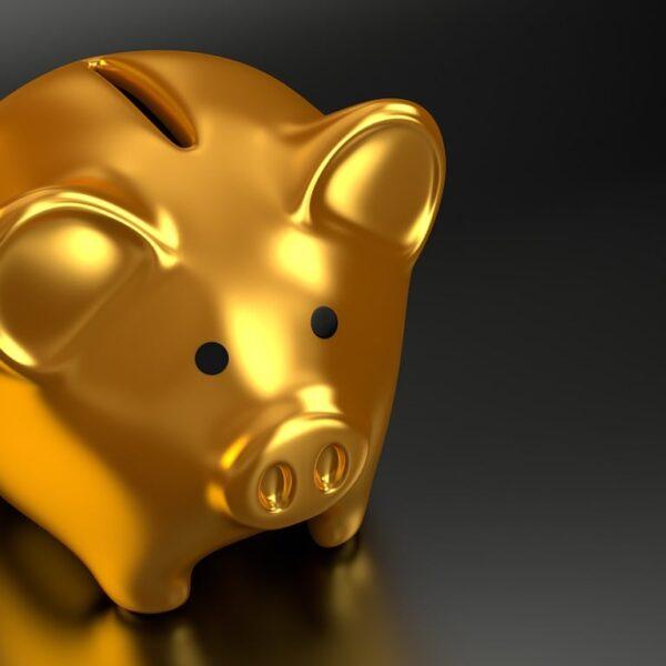 piggy bank, gold, money